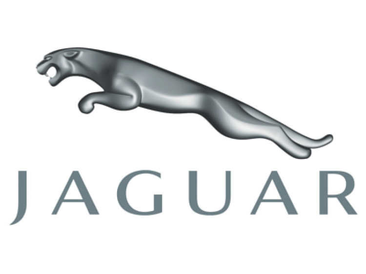 Lịch sử của báo đốm Jaguar